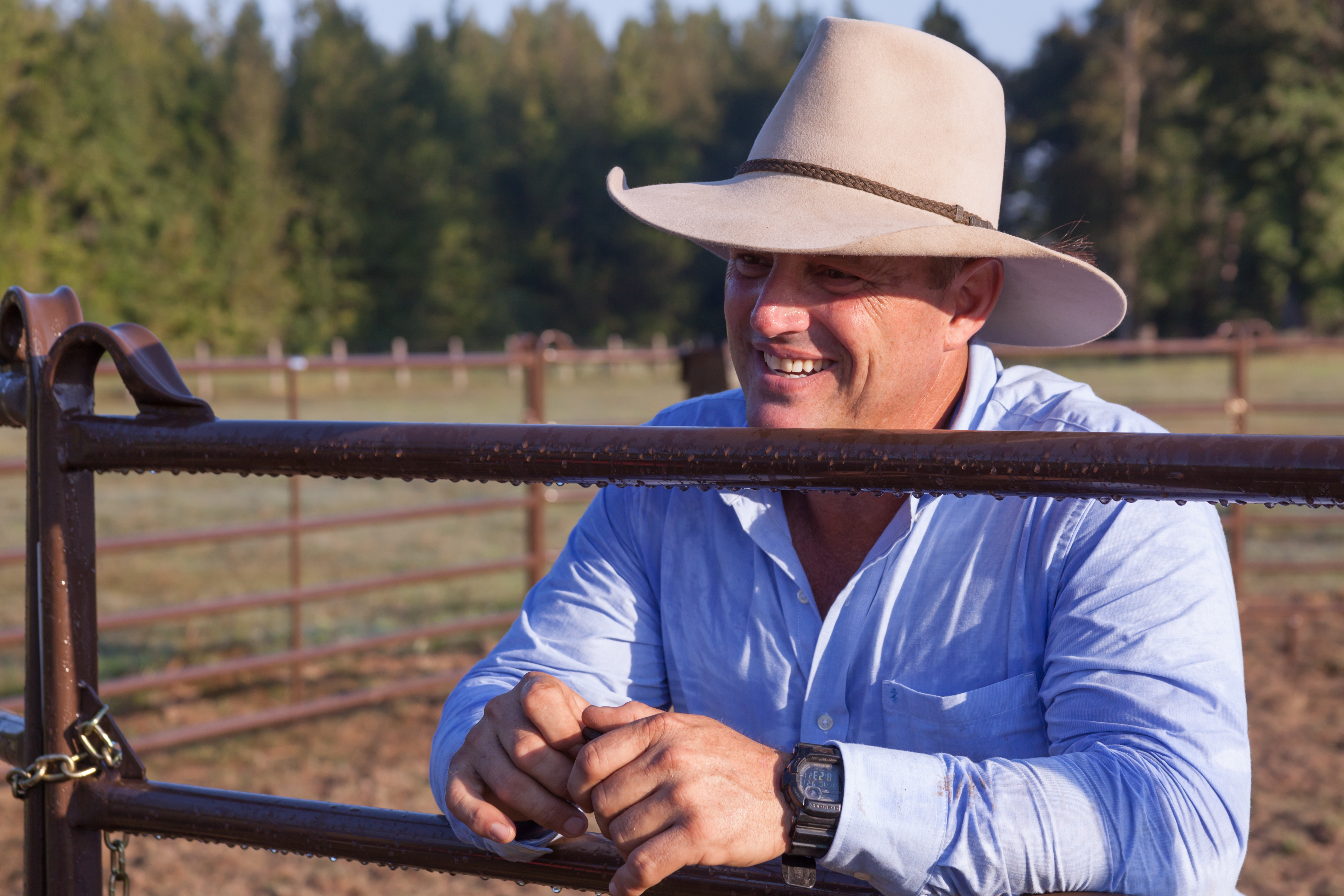 Horse Panels Guy Mclean 03.jpg